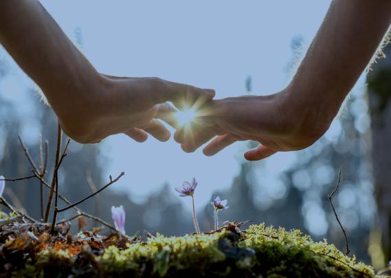 Close up Bare Hand of a Man Covering Small Flowers at the Garden with Sunlight Between Fingers